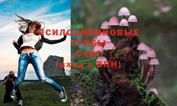 ПСИЛОЦИБИНОВЫЕ ГРИБЫ Абдулино