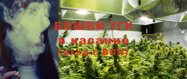 ГАЛЛЮЦИНОГЕННЫЕ ГРИБЫ Абаза