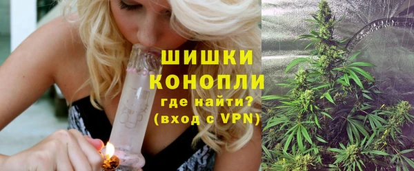 ГАЛЛЮЦИНОГЕННЫЕ ГРИБЫ Абаза