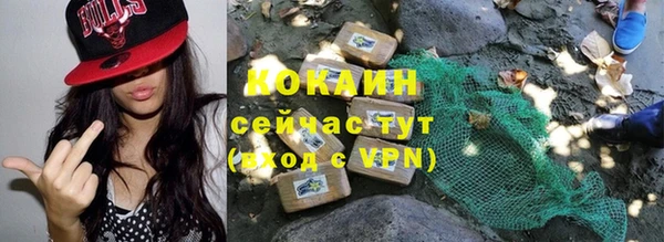 ГАЛЛЮЦИНОГЕННЫЕ ГРИБЫ Абаза