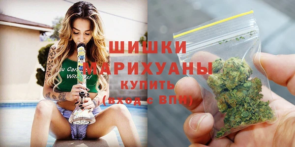 ГАЛЛЮЦИНОГЕННЫЕ ГРИБЫ Абаза