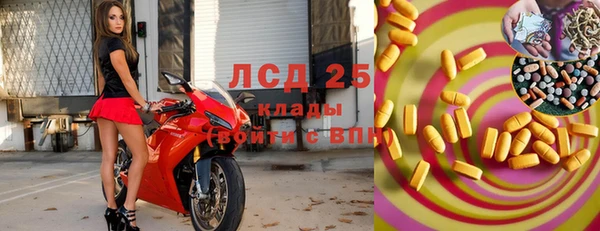 ГАЛЛЮЦИНОГЕННЫЕ ГРИБЫ Абаза